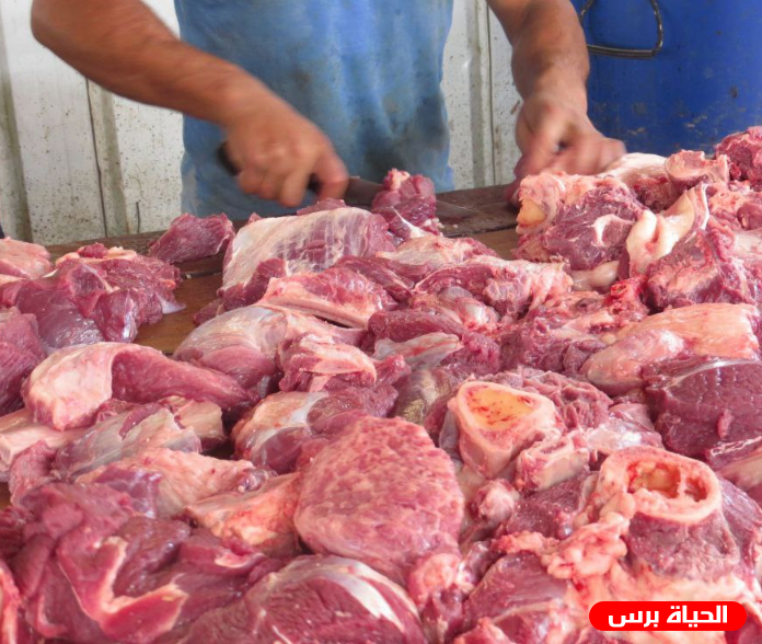 فيديو .. لجان التضامن تدعم مشروع توزيع الأضاحي في لبنان وغزة